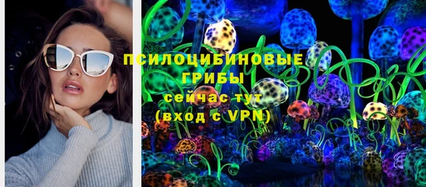дурь Богданович