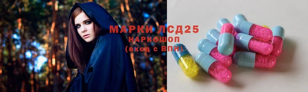 дурь Богданович