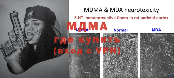 дурь Богданович