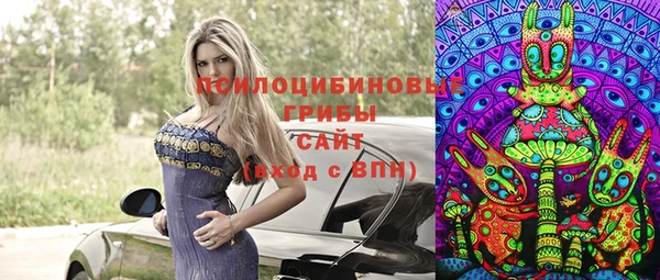 дурь Богданович